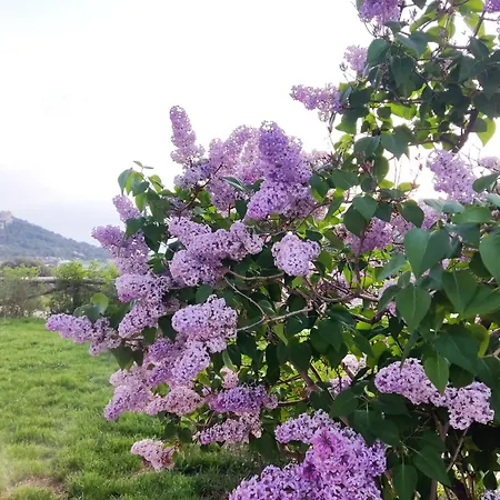 Turisticos Rurales Entresierras Сasa de vacaciones *